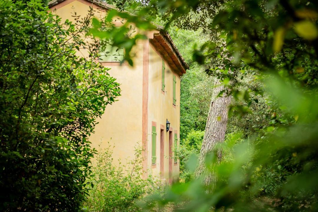 ホテルChateau Martinay カルパントラ エクステリア 写真
